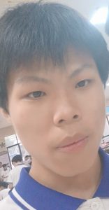 vsg_output_1736945547741